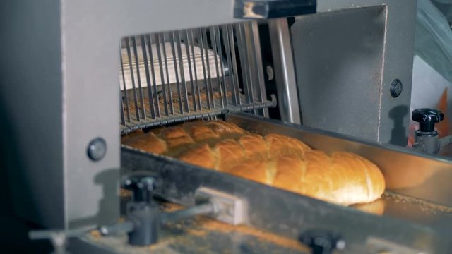 Long loaf cutting machine cuts bread at the bakery. Bread-slicer working.