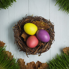 colored Easter eggs in the nest