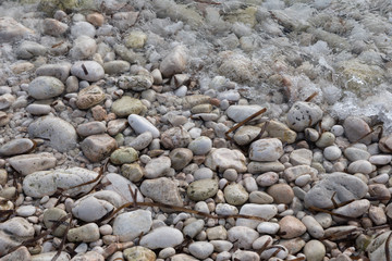 shore with stones