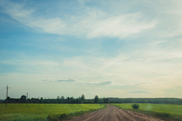 Obraz premium country road in summer