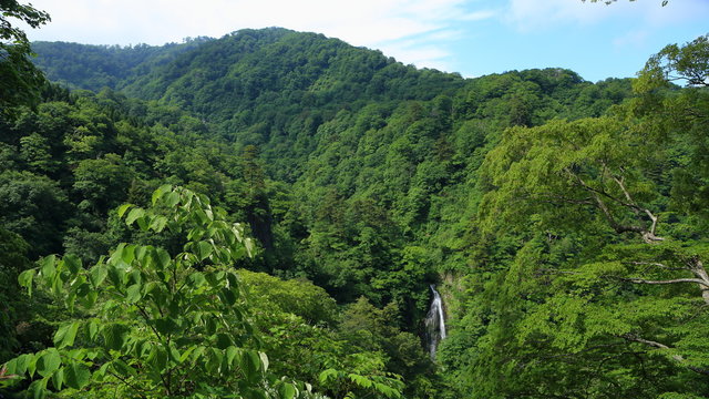 日本风景 Images – Browse 95 Stock Photos, Vectors, and Video