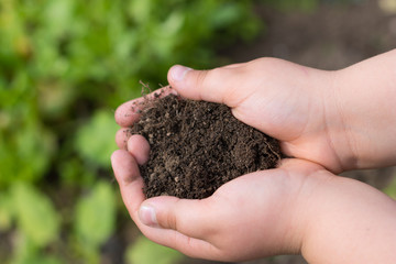 kid holds bio soil in hands 