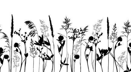Seamless horisontal border with wild herbs and flowers silhouettes isolated on white.