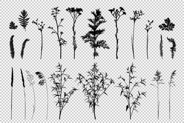 Big set of wild herbs silhouettes.