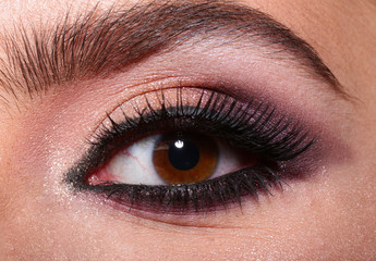 Obraz premium Woman eye with beautiful makeup. Beautiful female eye with extreme long eyelashes and smoky makeup. Perfect eyebrows and long lashes. Cosmetics and make-up. Closeup macro shot of fashion eyes visage