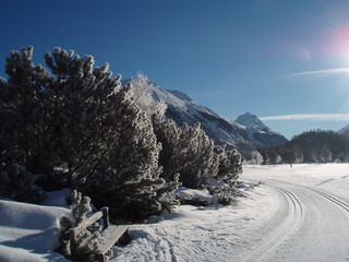 Oberengadin cross country skiing