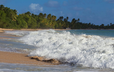The Caribbean beach , Martinique island.