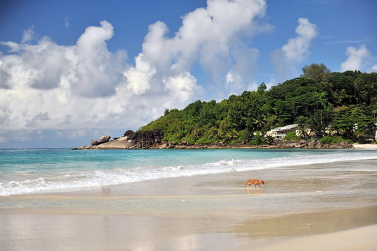 The Seychelles. Beaches with fine sand and turquoise water © Oleksandr Umanskyi