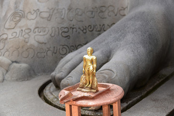 Detail, Fuß der Gomateshwara Statue, Jaina-ASket, Jain-Tempel auf Vindyagiri Hill,...