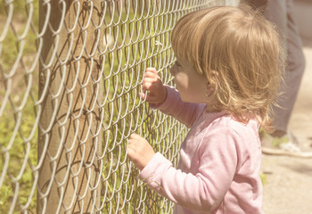 Little girl holding fence