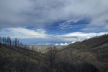 Gran Canaria, March 2018