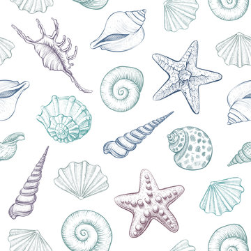 Seashells vector seamless pattern.