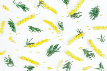 Flowers composition. Pattern made of mimosa flowers on white background. Flat lay, top view