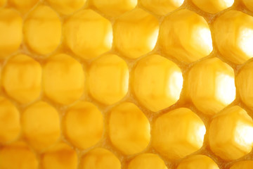 Honeycomb macro as a background. Beekeeping products. Apitherapy.