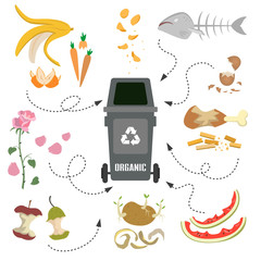 Container with organic trash on white background.
