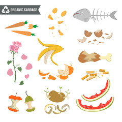 Organic trash on white background.