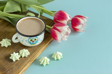 Red tulip white white border on blue background cacao cup marshmallow.