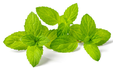 fresh herb, peppermint isolated on white