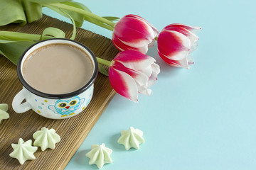 Red tulip white white border on blue background cacao cup marshmallow.