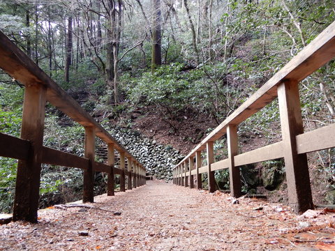 橋　はし　bridge　山　山道　Mountain　forest　日本　japan 高尾山 wood 　木

