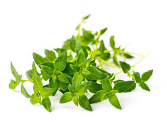 fresh herb, fresh thyme isolated on white