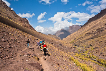 Mule riding on a track in Toubkal National Park at High Atlas mountains, Morocco, North Africa