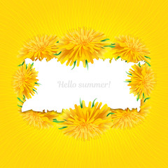 Summer card Dandelions isolated, yellow sun background. Floral card with white place for text. All objects are editable, vector illustration