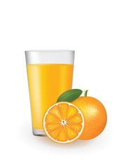 Orange juice with a fresh oranges beside the glass, vector