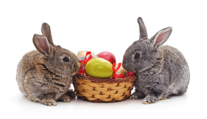 Rabbits and Easter basket.