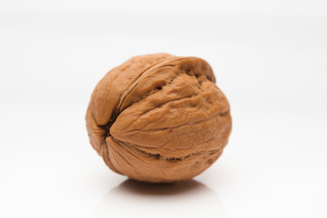 Walnut on white background