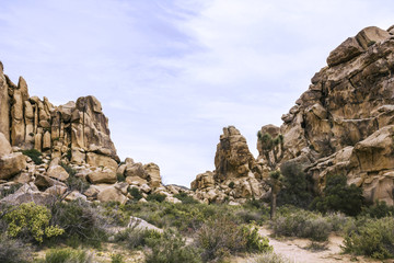 Fototapeta na wymiar Beautiful landscape view from the hiking trail in Joshua Tree National Park, California, United States.