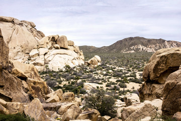 Beautiful landscape view from the hiking trail in Joshua Tree National Park, California, United States.