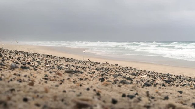 An Extreme Long Shot from a pebble and shell scattered sand dune out towards a stormy beach. Surf Life Saving Flags sit on the horizon as the white capped waves roll in..