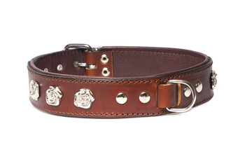 brown collar with rivets isolated on white background