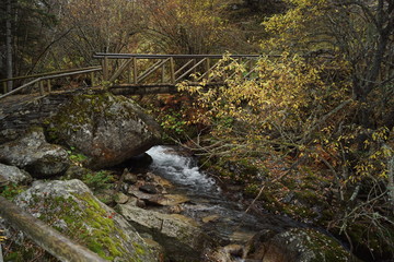 Ruta de l'isard, Aig&uuml;estortes i Estany de Sant Maurici