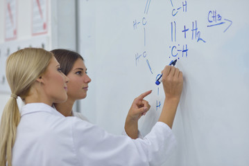Naklejka premium group of the students working at the laboratory