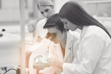 group of the students working at the laboratory