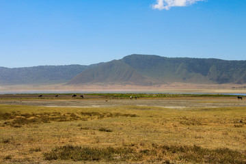 Obraz premium Ngorongoro Crater in Tanzania