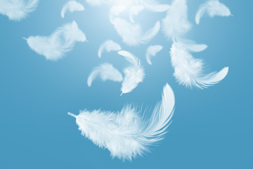 Abstract white feather floating in the air, on blue sky