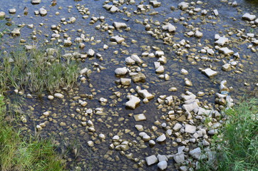 Kamienie w rzece/Stones in a river
