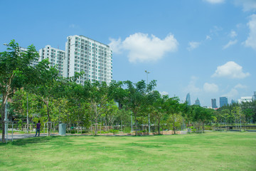 Fototapeta premium Beautiful green grass meadow field in public park with city buildings in the background.