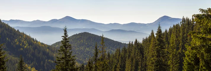  Wide panorama of green mountain hills in sunny clear weather. Carpathian mountains landscape in summer. View of rocky peaks covered with green pine trees. Beauty of nature. © bilanol