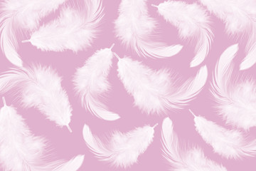 White feather texture on pink background