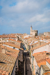 Obraz premium Vue sur Aigues-Mortes et les remparts