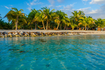 Naklejka na ściany i meble Sunset at South Water Caye - Small tropical island at Barrier Reef with paradise beach - known for diving, snorkeling and relaxing vacations - Caribbean Sea, Belize, Central America