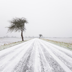 Winter Havelland
