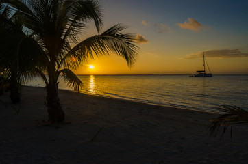 Fototapeta premium Sunset at South Water Caye - mała tropikalna wyspa na rafie Barrier z rajską plażą - znana z nurkowania, snorkelingu i relaksujących wakacji - Morze Karaibskie, Belize, Ameryka Środkowa