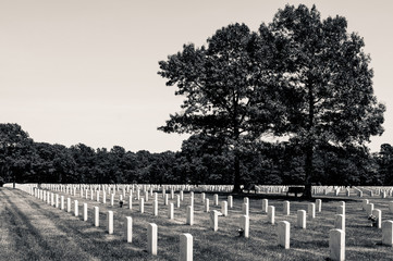 Military Cemetery