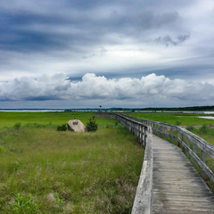Stormy sky at wild life preserve in Southampton NY 