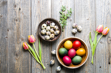 Easter background with eggs and tulips